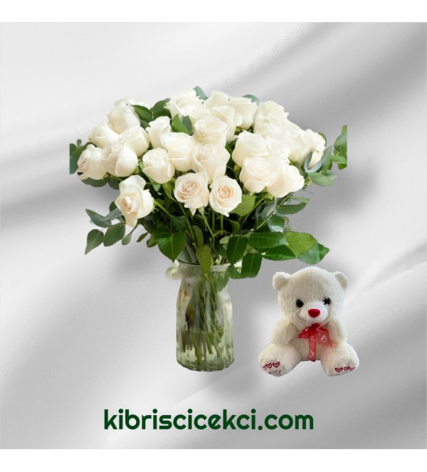 Vazoda 33 Beyaz Gül Ayıcık Vazoda 33 Beyaz Gül Ayıcık